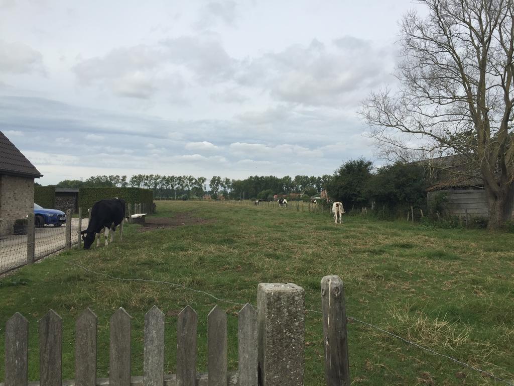 Vila Vakantielogies Boerke Naas Bruggy Exteriér fotografie