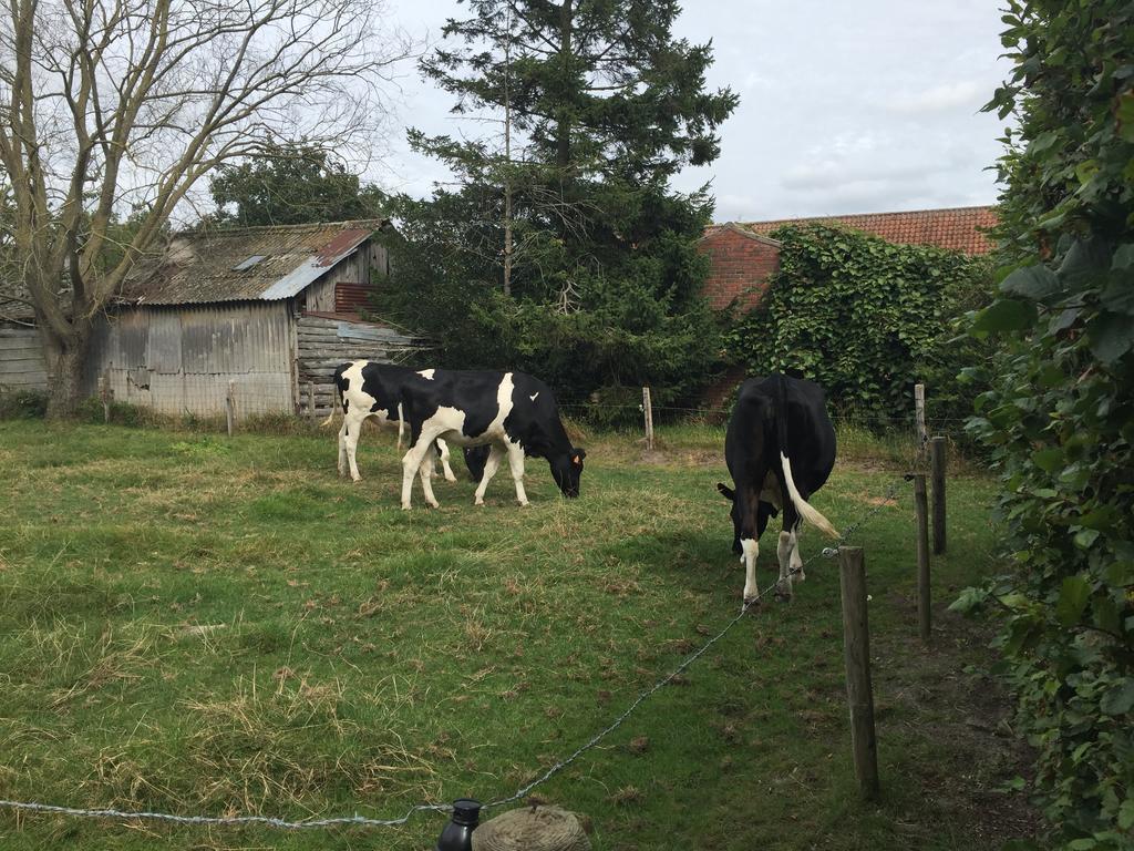 Vila Vakantielogies Boerke Naas Bruggy Exteriér fotografie