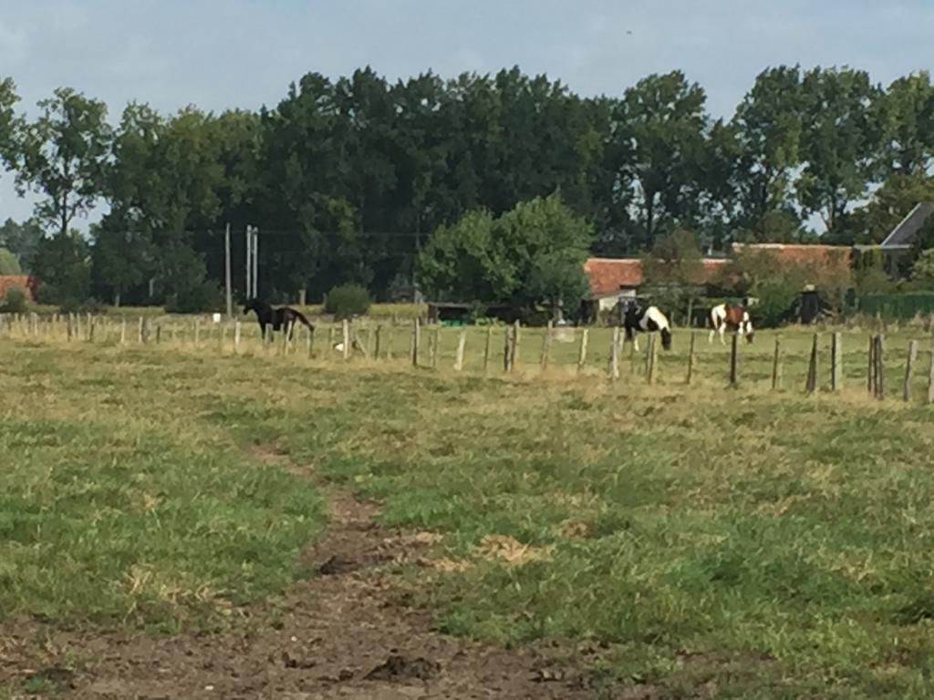 Vila Vakantielogies Boerke Naas Bruggy Exteriér fotografie